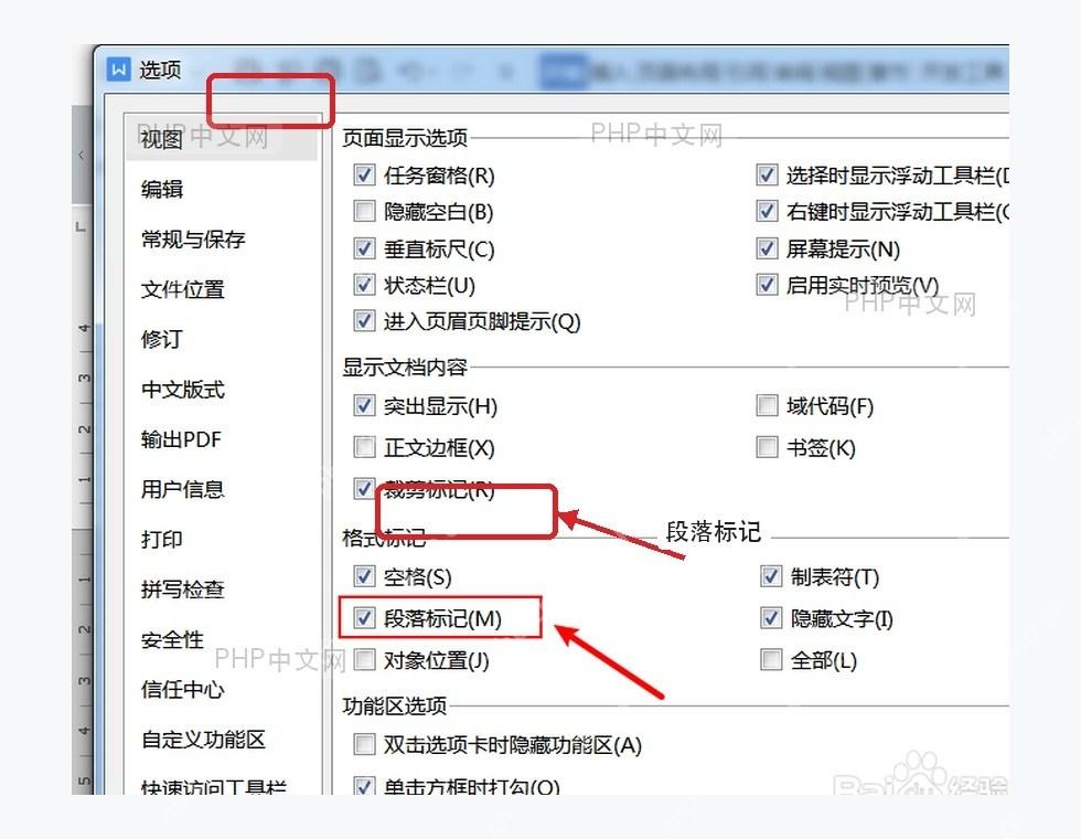 WPS 选项视图页面中的段落标记复选框