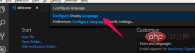 So stellen Sie vscode auf die chinesische Umgebung ein