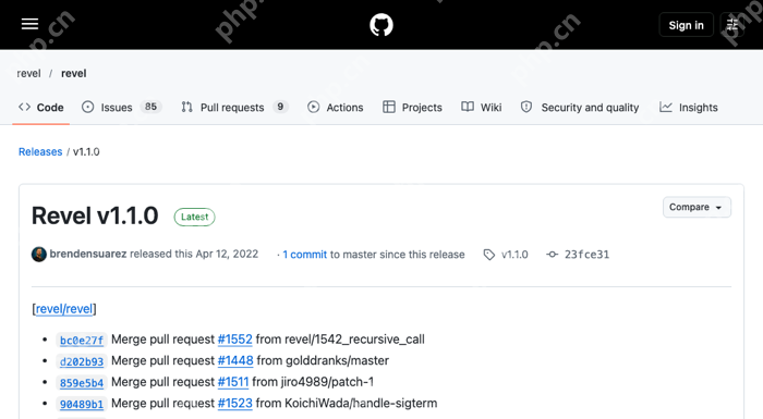 GitHub 上 Revel 官方 v1.1.0 发行页显示 Latest 标记及 2022-04-12 发布记录,证明版本与发布时间