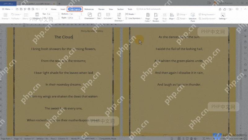 如何在 WPS Writer 文字中设置行号 - php中文网