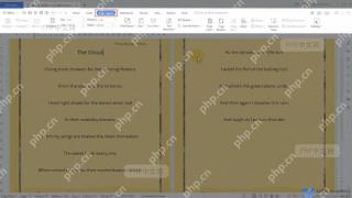 WPS Writer页面布局选项卡和行号入口，用于设置连续编号