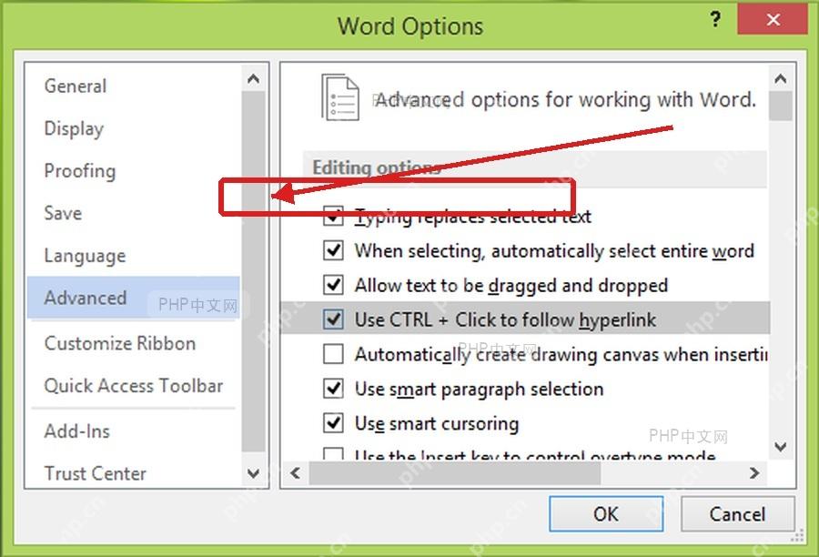 Word 选项高级设置中用 Ctrl 单击跟踪超链接