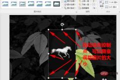 1621406831360229.jpg How to remove picture background in ppt