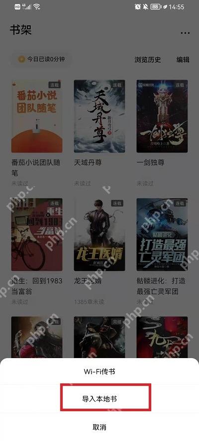 番茄免费小说APP怎么导入本地TXT文件步骤2界面