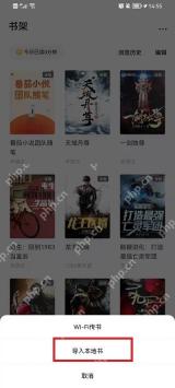 番茄免费小说APP怎么导入本地TXT文件步骤2界面