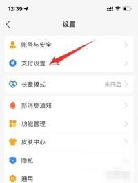 支付宝中文界面：支付设置，对应步骤：进支付宝“我的”页右上角设置后，先点“支付设置”。自动扣款项目不在账单首页，而是在这里集中管理。
