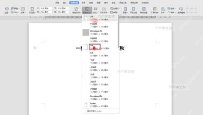 WPS 文字纸张大小下拉列表中 A3 选项被标出，尺寸为 29.6 厘米 x 41.9 厘米