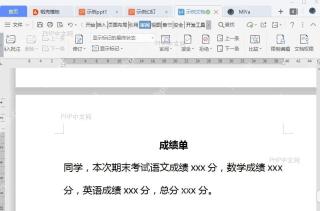 WPS如何使用WPS账号加密?结果检查