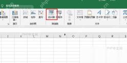 Excel选中表格并打开切片器入口