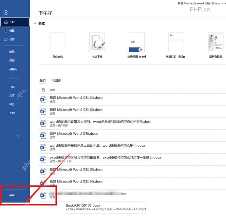 Word 文件后台页面左下角选项入口,第二步进入文件选项