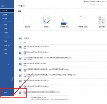 Word 文件后台页面左下角选项入口,第二步进入文件选项