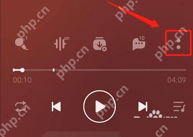 QQ音乐播放页更多按钮