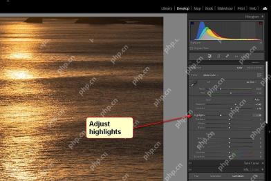 Lightroom Classic Windows 版英文基本面板,高光 Highlights 为负值且红箭头指向该滑块
