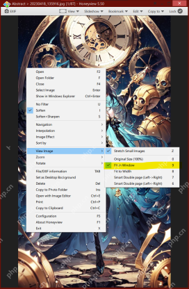 Windows 中的 Honeyview 5.50 右键菜单展开 View Image，Fit in Window 被勾选，右侧标出快捷键 9