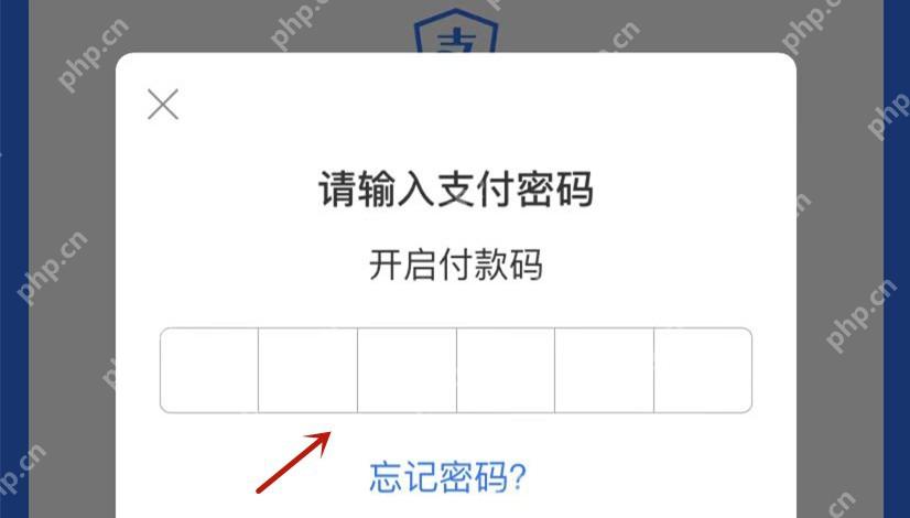 支付宝开启付款码时弹出的支付密码输入框,输完密码才能继续打开付款码
