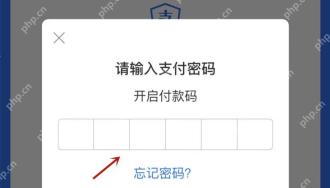 支付宝开启付款码时弹出的支付密码输入框,输完密码才能继续打开付款码