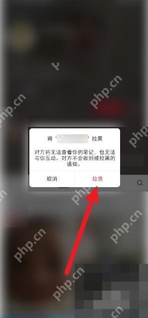 小红书拉黑确认弹窗,用于最终确认拉黑对方