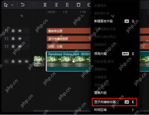 右键菜单里有显示关键帧面板入口