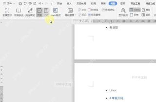 如何设置文字页面视图结果检查