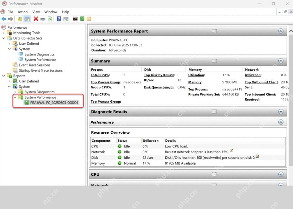 Win11 性能监视器报告树中打开 System Diagnostics 报告