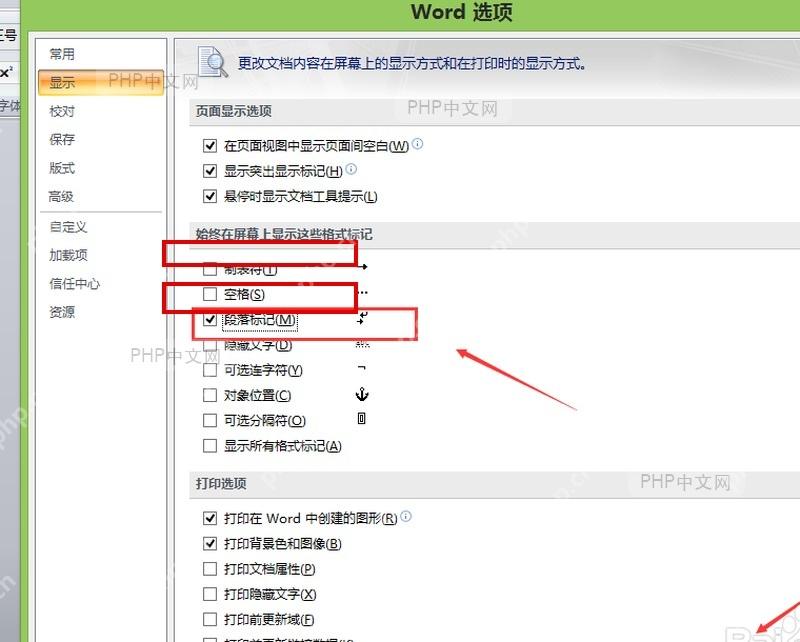 Word 选项显示页面勾选空格和段落标记