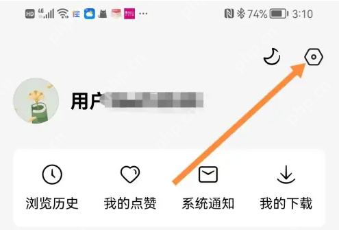 红果短剧我的页面右上角设置按钮