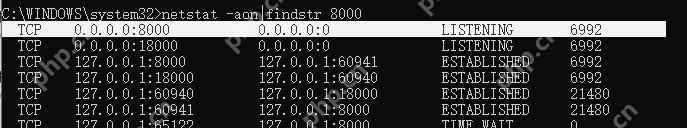 Windows 命令提示符使用 netstat findstr 找到端口对应 PID