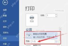在 Word 打印页码框中输入指定页面范围