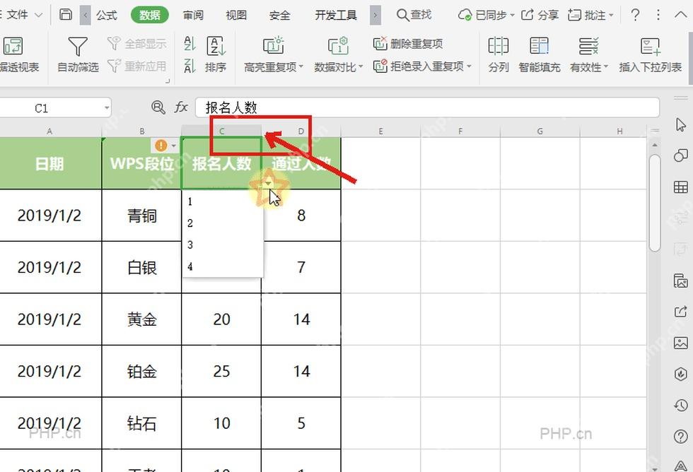 WPS 表格单元格显示下拉菜单选项效果
