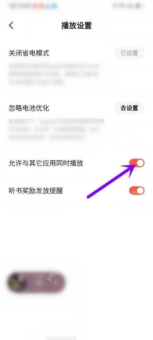 红果免费短剧播放设置页，可检查播放相关开关