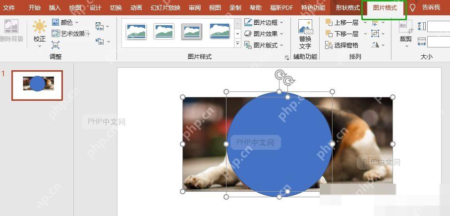 PPT格式选项卡大小组中高度宽度输入框