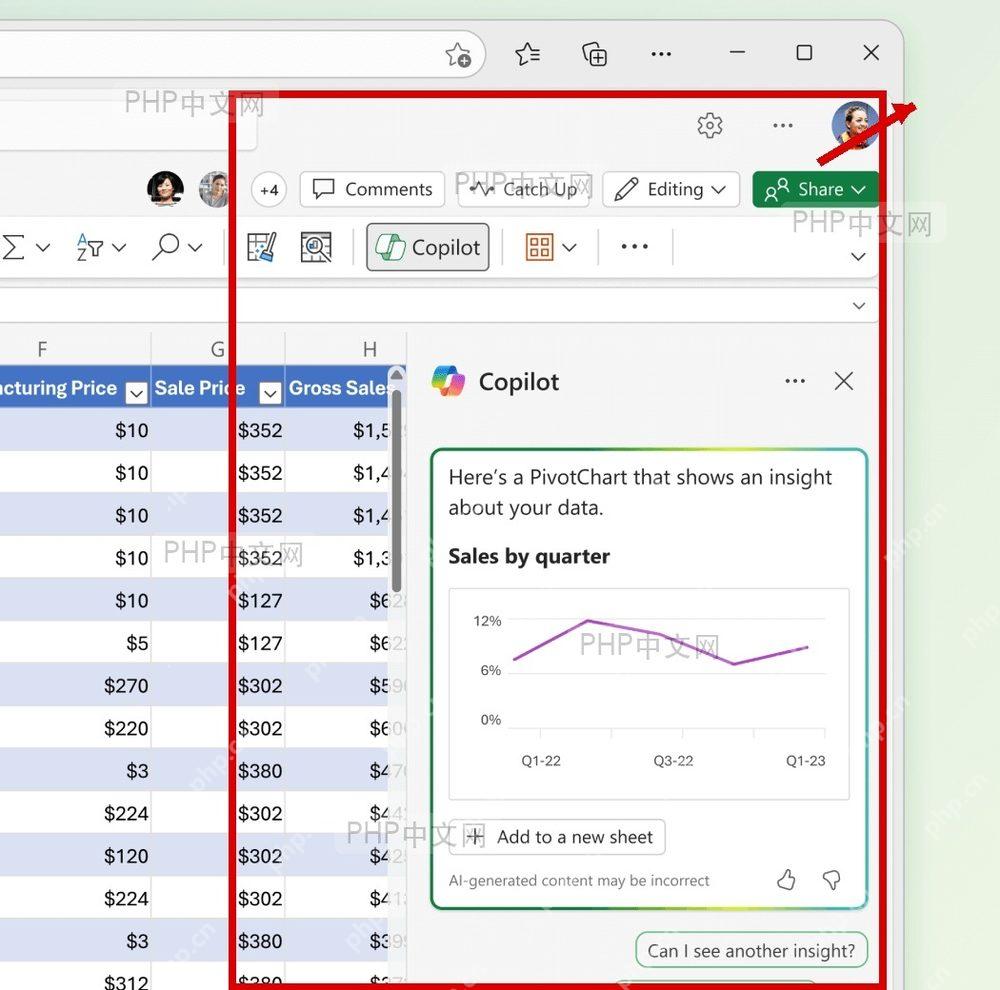 Excel 右侧任务窗格显示后的界面,保留表格区域和右侧面板