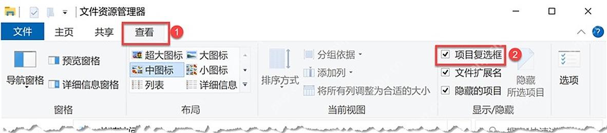 Win10 文件资源管理器查看页勾选项目复选框