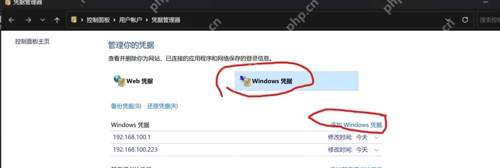 Win11 凭据管理器页面区分 Web 凭据和 Windows 凭据