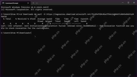 Windows 11 用 curl.exe -v 读取握手错误的真实界面截图