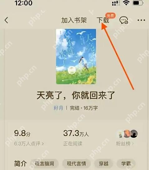 番茄小说书籍详情页,显示书名、评分和正在阅读人数