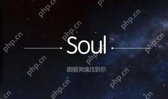 soul怎么精确查找一个人？soul精确查找一个人教程 - php中文网