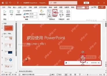 PowerPoint 幻灯片中音频图标和播放设置入口