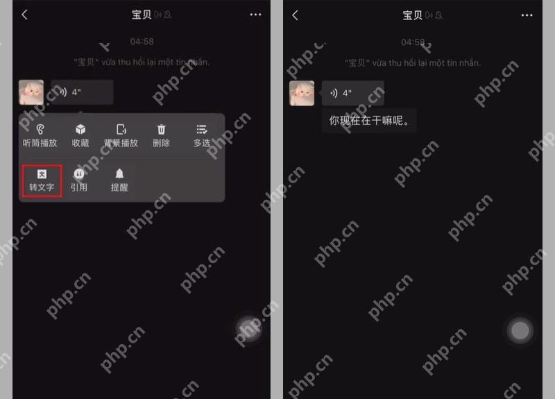 微信语音消息转为文字后的识别结果