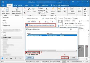 Outlook 已删除邮件文件夹里的 Recover Deleted Items 窗口可恢复所选邮件