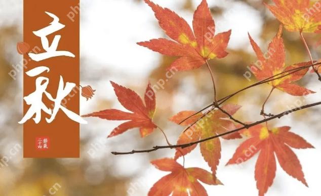 立秋要注意什么  立秋宜做什么忌什么 - php中文网