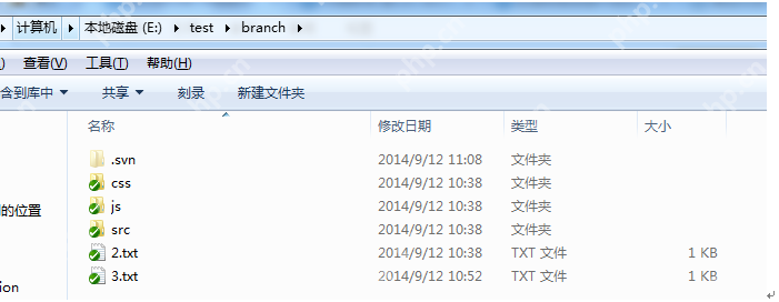 SVN版本控制系统入门指南 - php中文网