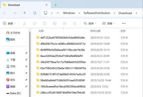 win11更新文件在哪_win11更新文件保存位置说明 - php中文网