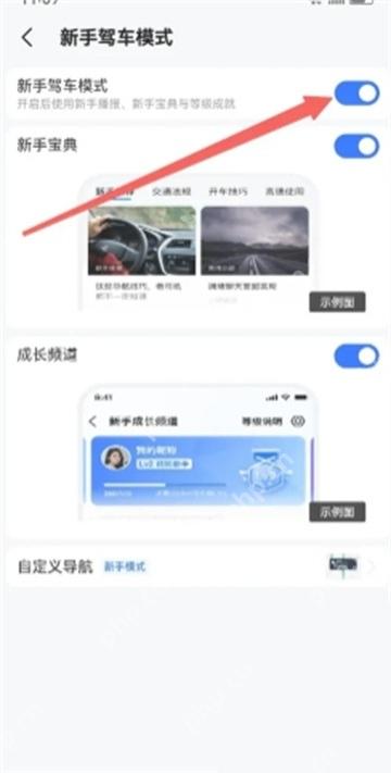 高德地图新手驾车模式页面,打开新手驾车模式开关