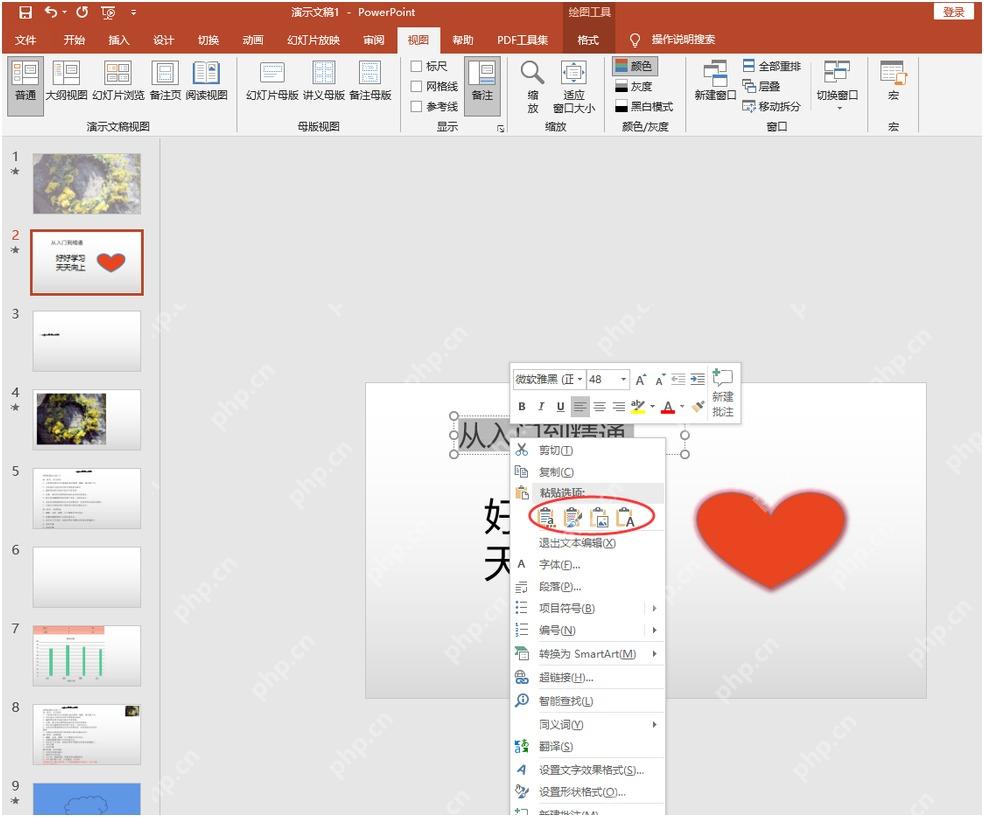 PowerPoint右键菜单中的粘贴选项