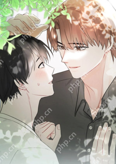 51漫画免费观看漫画大全APP 51漫画app无删减免费阅读地址 - php中文网