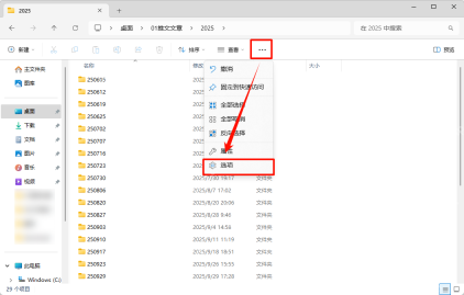 Win11 文件资源管理器三个点菜单中的选项入口