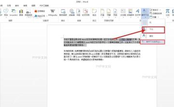 Word 首字下沉菜单中选择下沉样式