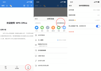 手机WPS分享与发送中选择以文件发送和协作权限