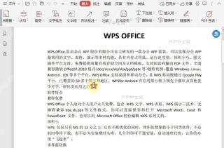 如何自定义PDF文档中插入符的颜色?结果检查